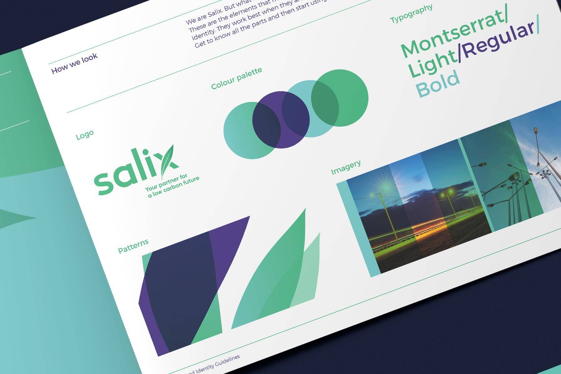 Salix_1800x1200_Guides3