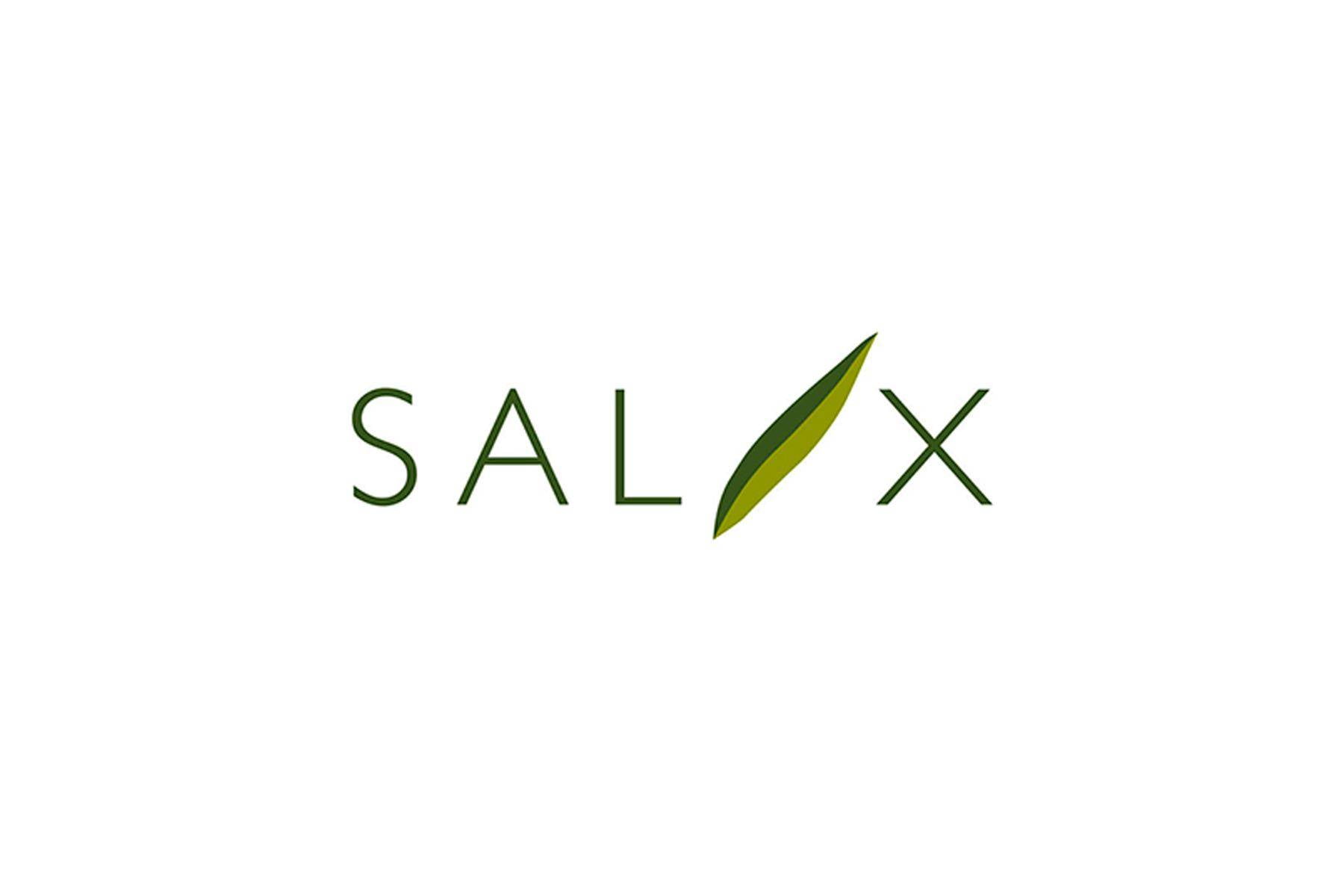 Salix_1800x1200_Logo_before