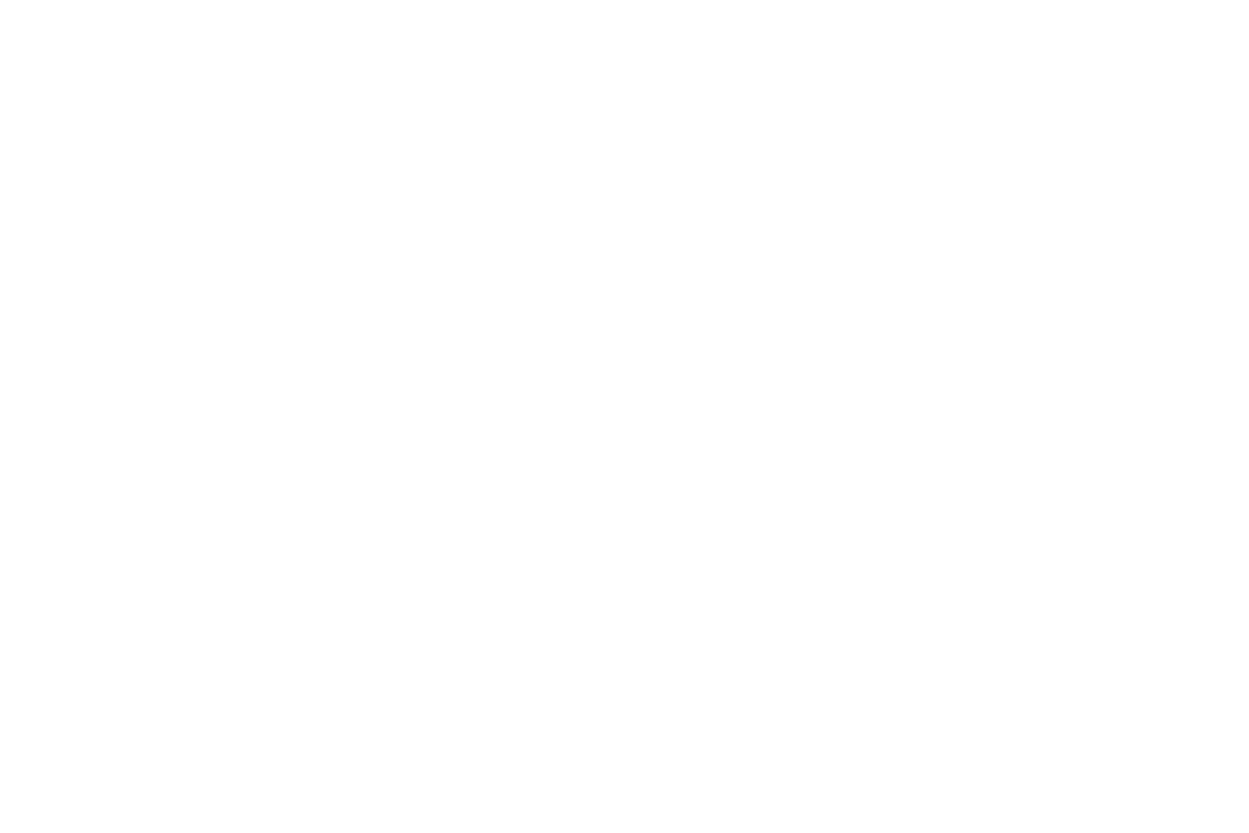 Salix_1800x1200_Logo_white Salix_1800x1200_Logo_white